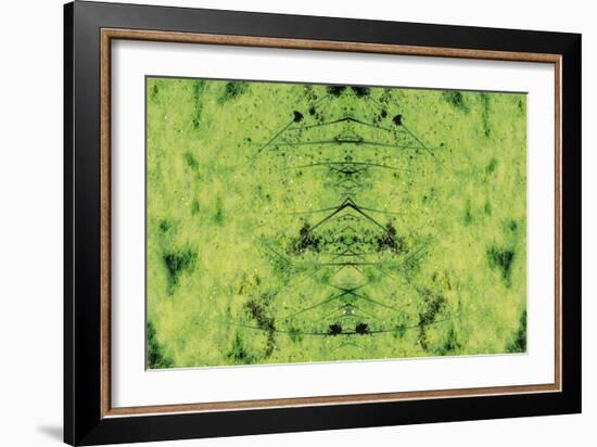 Unnatural 3-Giovanni Cafagna-Framed Giclee Print