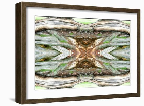 Unnatural 64-Giovanni Cafagna-Framed Giclee Print