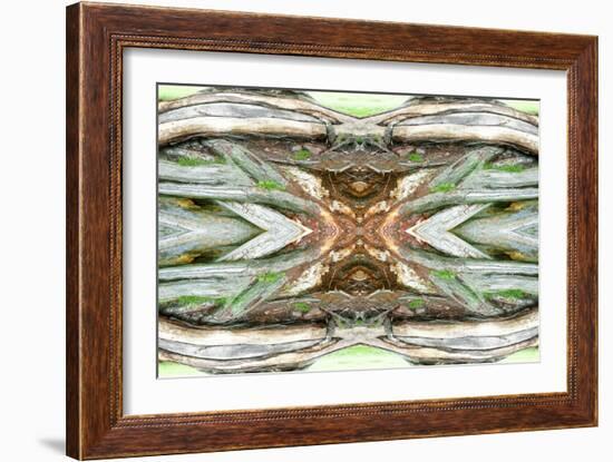 Unnatural 64-Giovanni Cafagna-Framed Giclee Print