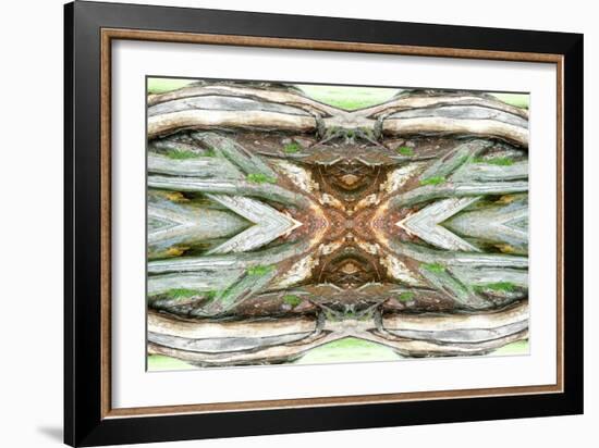 Unnatural 64-Giovanni Cafagna-Framed Giclee Print