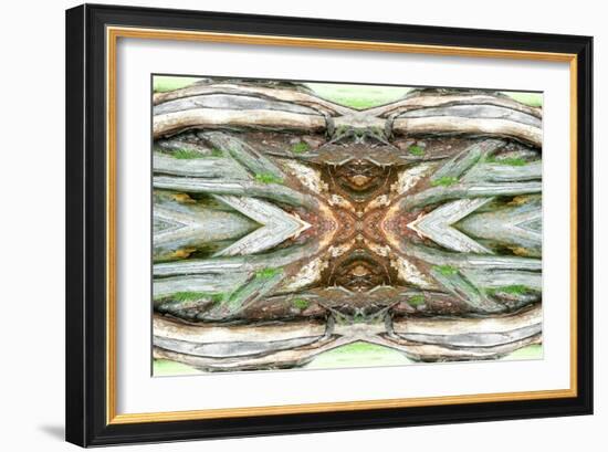 Unnatural 64-Giovanni Cafagna-Framed Giclee Print