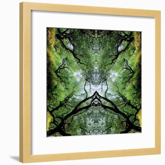 Unnatural 75-Giovanni Cafagna-Framed Giclee Print