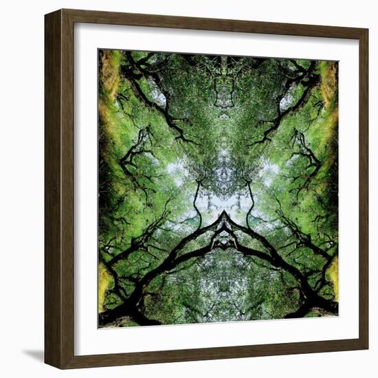 Unnatural 75-Giovanni Cafagna-Framed Giclee Print