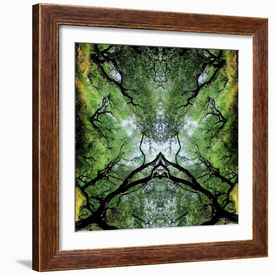 Unnatural 75-Giovanni Cafagna-Framed Giclee Print