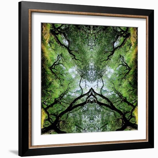 Unnatural 75-Giovanni Cafagna-Framed Giclee Print