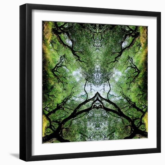 Unnatural 75-Giovanni Cafagna-Framed Giclee Print