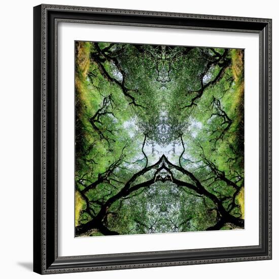 Unnatural 75-Giovanni Cafagna-Framed Giclee Print