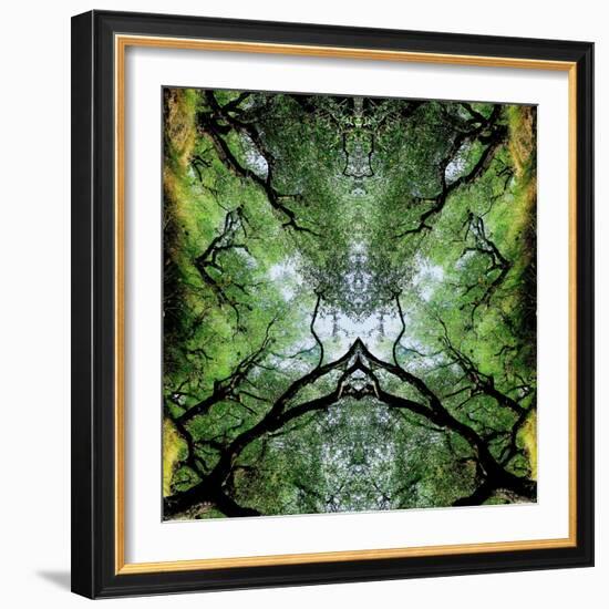 Unnatural 75-Giovanni Cafagna-Framed Giclee Print