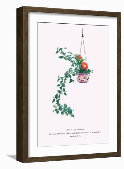 Uno-Hana And Shakuyaku (Scabra & Herbaceous Peony) In a Suspended Porcelain Bowl-Josiah Conder-Framed Art Print