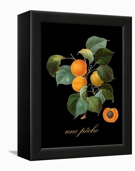 Unpeche-Mindy Sommers-Framed Premier Image Canvas