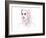 Unsaid Things-Agnes Cecile-Framed Art Print