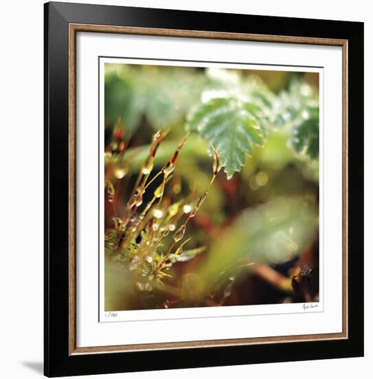 Unseen-Michelle Wermuth-Framed Giclee Print