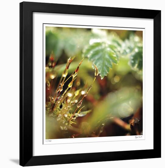 Unseen-Michelle Wermuth-Framed Giclee Print