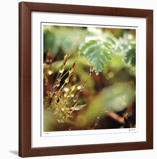 Unseen-Michelle Wermuth-Framed Giclee Print