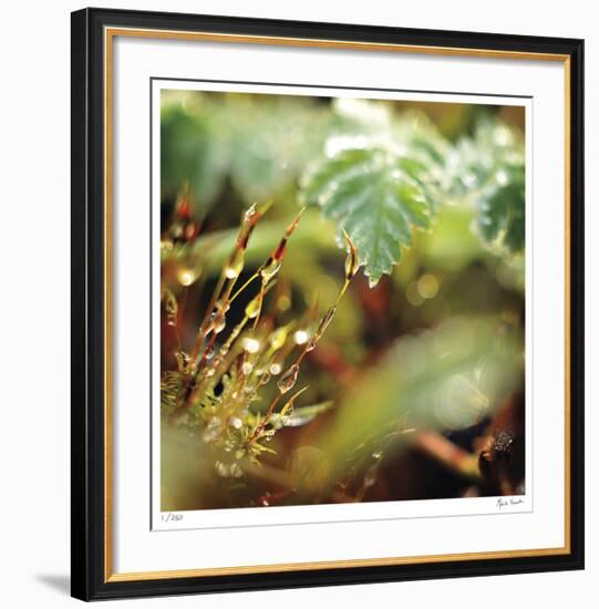 Unseen-Michelle Wermuth-Framed Giclee Print