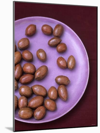 Unshelled Pecans-Akiko Ida-Mounted Photographic Print