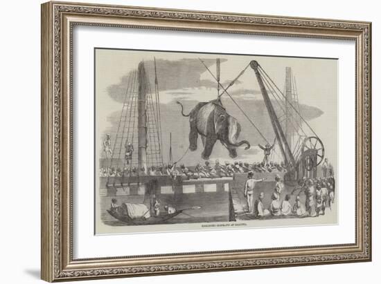 Unshipping Elephants at Calcutta-null-Framed Giclee Print