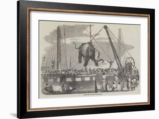 Unshipping Elephants at Calcutta-null-Framed Giclee Print