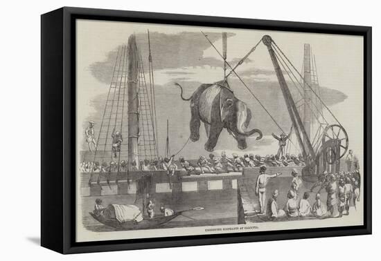 Unshipping Elephants at Calcutta-null-Framed Premier Image Canvas