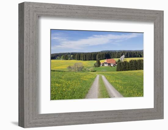 Unterfallengrundhof (Farmhouse) in Spring, Guetenbach, Black Forest, Baden Wurttemberg, Germany-Markus Lange-Framed Photographic Print