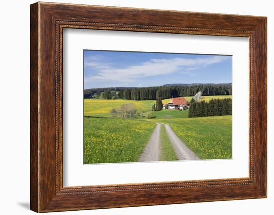 Unterfallengrundhof (Farmhouse) in Spring, Guetenbach, Black Forest, Baden Wurttemberg, Germany-Markus Lange-Framed Photographic Print