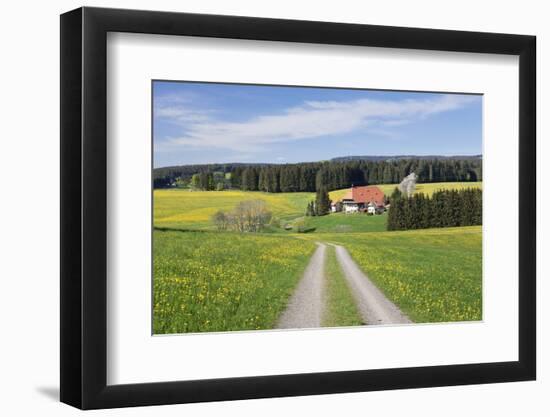 Unterfallengrundhof (Farmhouse) in Spring, Guetenbach, Black Forest, Baden Wurttemberg, Germany-Markus Lange-Framed Photographic Print