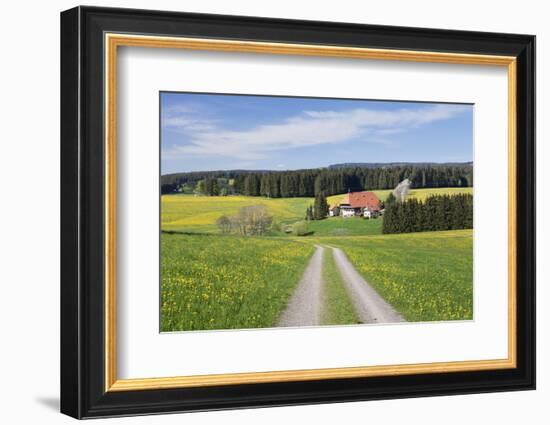 Unterfallengrundhof (Farmhouse) in Spring, Guetenbach, Black Forest, Baden Wurttemberg, Germany-Markus Lange-Framed Photographic Print