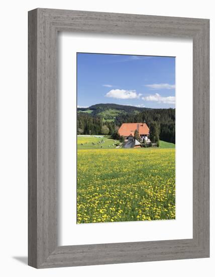 Unterfallengrundhof (Farmhouse) in Spring, Guetenbach, Black Forest, Baden Wurttemberg, Germany-Markus Lange-Framed Photographic Print