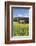 Unterfallengrundhof (Farmhouse) in Spring, Guetenbach, Black Forest, Baden Wurttemberg, Germany-Markus Lange-Framed Photographic Print