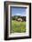 Unterfallengrundhof (Farmhouse) in Spring, Guetenbach, Black Forest, Baden Wurttemberg, Germany-Markus Lange-Framed Photographic Print