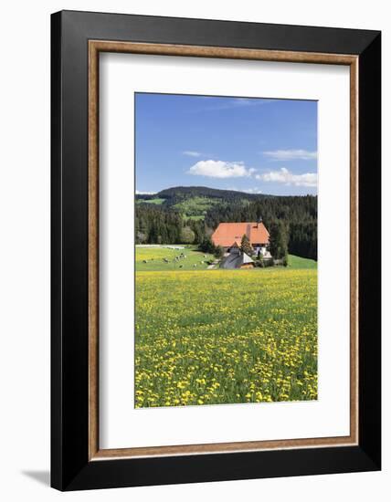 Unterfallengrundhof (Farmhouse) in Spring, Guetenbach, Black Forest, Baden Wurttemberg, Germany-Markus Lange-Framed Photographic Print