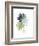 Untethered Palm VI-Grace Popp-Framed Art Print