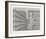 Untitled (1-D)-Rauch Hans Georg-Framed Limited Edition