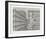 Untitled (1-D)-Rauch Hans Georg-Framed Limited Edition