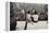 Untitled 17, c.1953-64-Nat Herz-Framed Premier Image Canvas