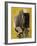 Untitled, 1944-Robert Motherwell-Framed Giclee Print