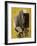 Untitled, 1944-Robert Motherwell-Framed Giclee Print