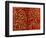 Untitled, 1979-Keith Haring-Framed Giclee Print