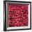 Untitled, 1982-Keith Haring-Framed Giclee Print