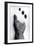 Untitled, 1990-2000-Didier Gaillard-Framed Photographic Print