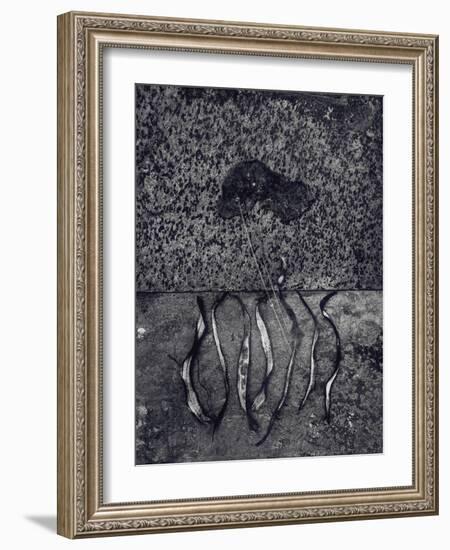 Untitled, 1990-2000-Didier Gaillard-Framed Photographic Print