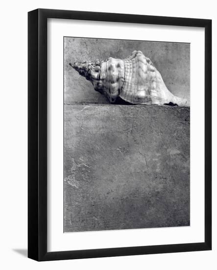 Untitled, 1990-2000-Didier Gaillard-Framed Photographic Print