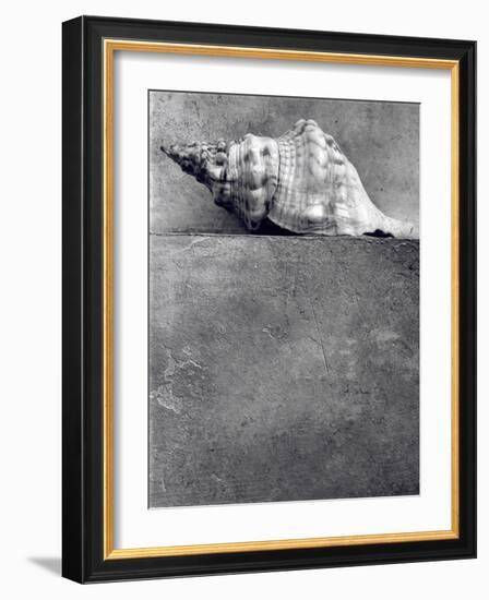 Untitled, 1990-2000-Didier Gaillard-Framed Photographic Print