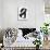Untitled 1b-Jaime Derringer-Mounted Premium Giclee Print displayed on a wall
