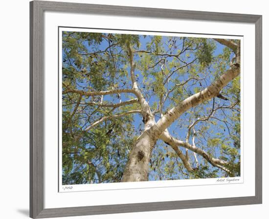 Untitled 4-John Gynell-Framed Giclee Print