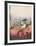 untitled 4-Ardy Struwer-Framed Collectable Print