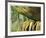 Untitled 6-John Gynell-Framed Giclee Print