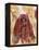 Untitled African Red Wrap-Marta Gottfried-Framed Premier Image Canvas