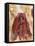 Untitled African Red Wrap-Marta Gottfried-Framed Premier Image Canvas