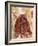 Untitled African Red Wrap-Marta Gottfried-Framed Giclee Print